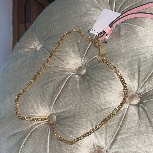 New Gucci dog leash & harness for small size dog - Picture 8 of 16